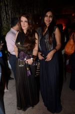 at Party in honour of Ritu Kumar for wining Padma Bhushan hosted by FDCI in Mumbai on 19th March 2013 (15).JPG